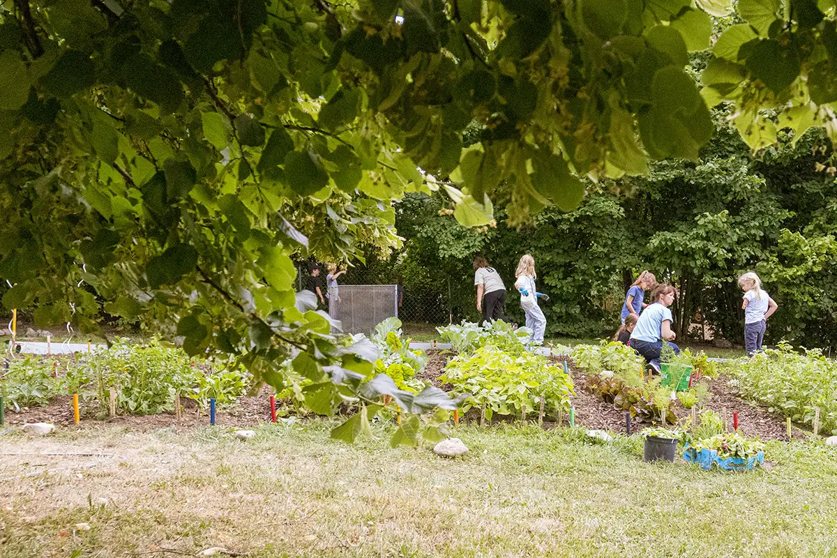 Consciously experiencing natural cycles creates a connection.