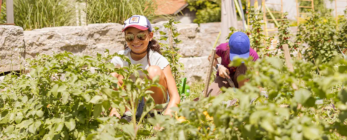 Most children enjoy harvesting, but planting vegetables is also a special experience. Most children enjoy harvesting, but planting vegetables is also a special experience.