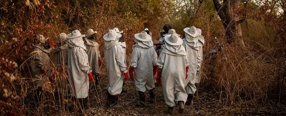 Bienenhaltung ist ein weiteres Standbein des Frauenprojekts und kommt auch dem Obst- und Gemüsegarten zugute.
© Bente Stachowske Bienenhaltung ist ein weiteres Standbein des Frauenprojekts und kommt auch dem Obst- und Gemüsegarten zugute.
