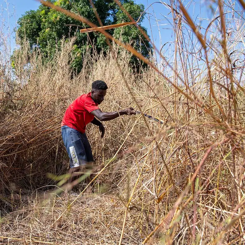 Das Gartengelände muss erst vorbereitet werden