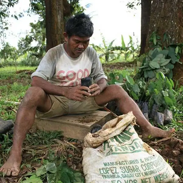 Wiederaufforstung ist einer der Projektpfeiler von Life-Giving Forest. Wiederaufforstung ist einer der Projektpfeiler von Life-Giving Forest.